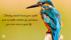 Life Motivation and Inspirational Quotes, Get ready for success in your Career with Gyaannirudra